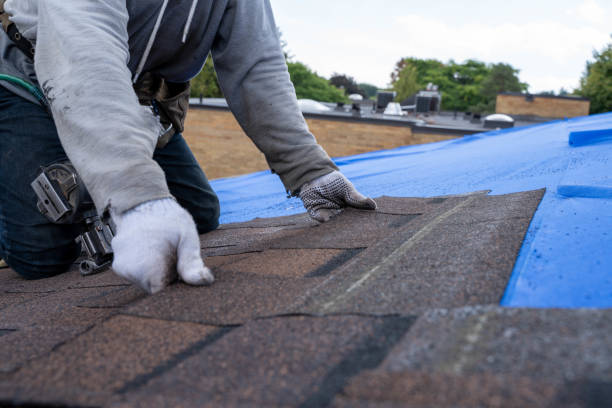 Best Roof Gutter Cleaning  in Tiltonsville, OH
